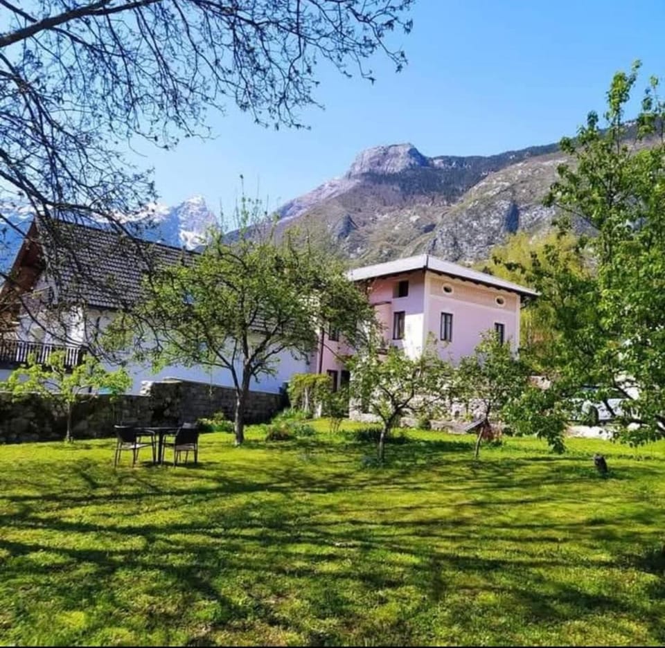 Property building, Garden, Mountain view