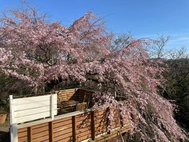 Houtouji Temple Bed and Breakfast in Japan