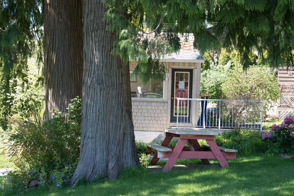 Garden view