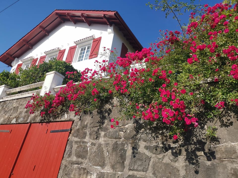 Property building, Garden, Garden view