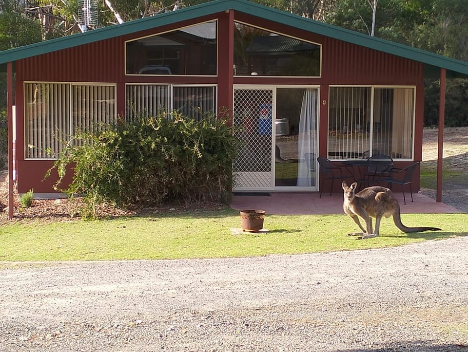 Property building, Animals, Animals