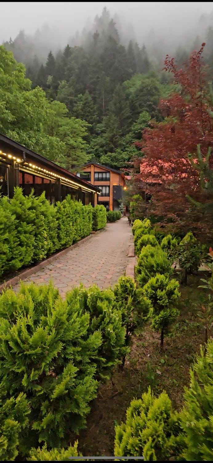 Day, Natural landscape, Garden, Garden, View (from property/room), Garden view, Mountain view
