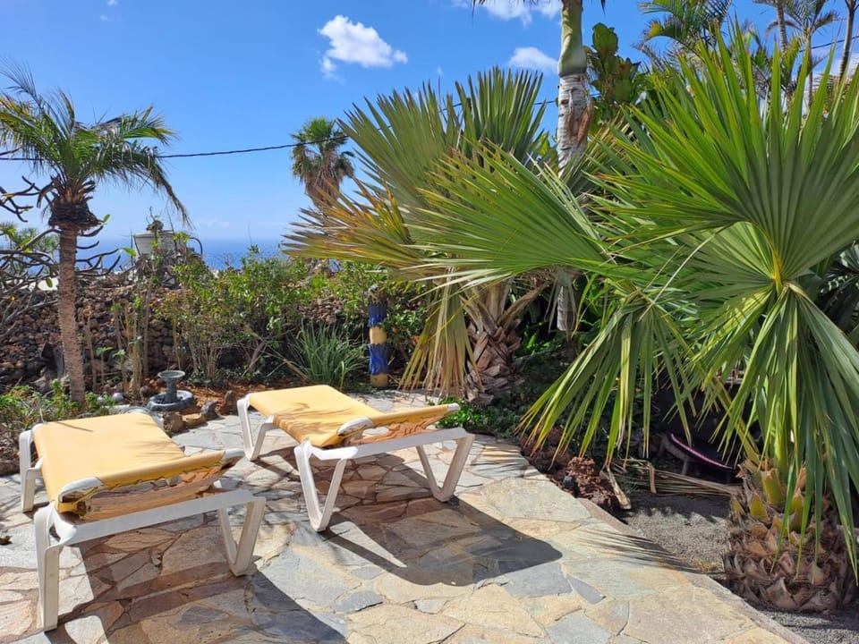 Garden, Sea view, sunbed