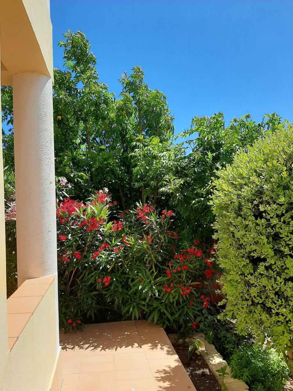 Garden view