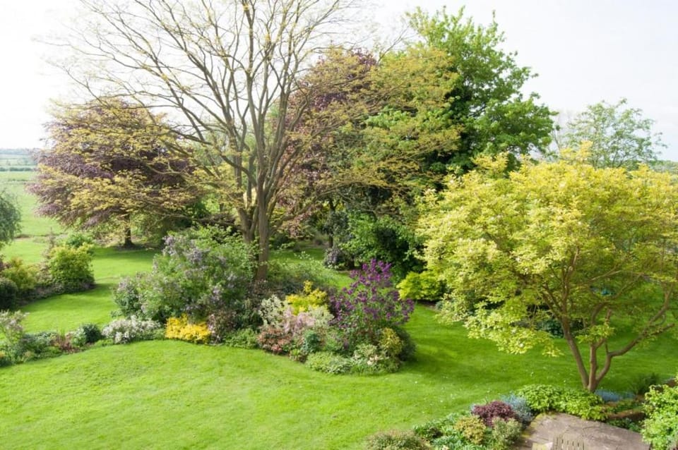 Garden, Garden view