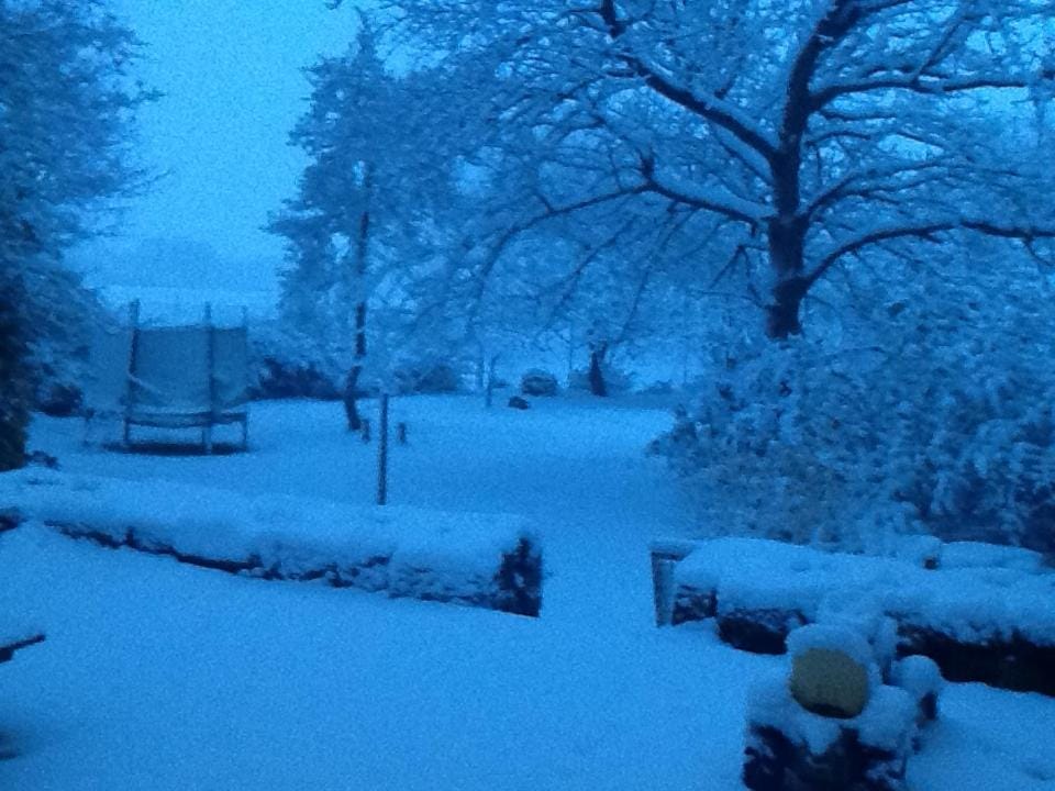 Winter