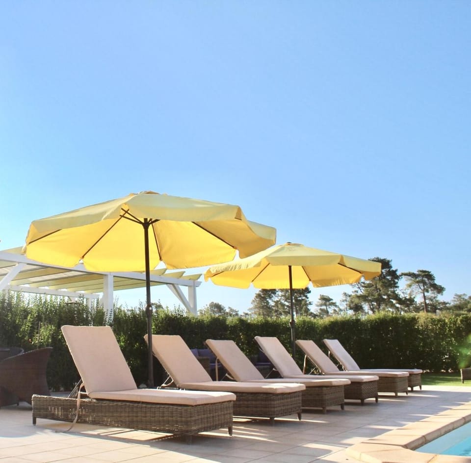 Day, Pool view, Swimming pool, sunbed