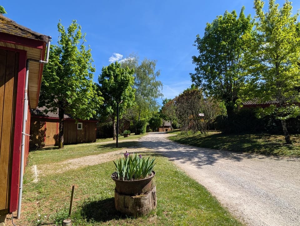 Garden view