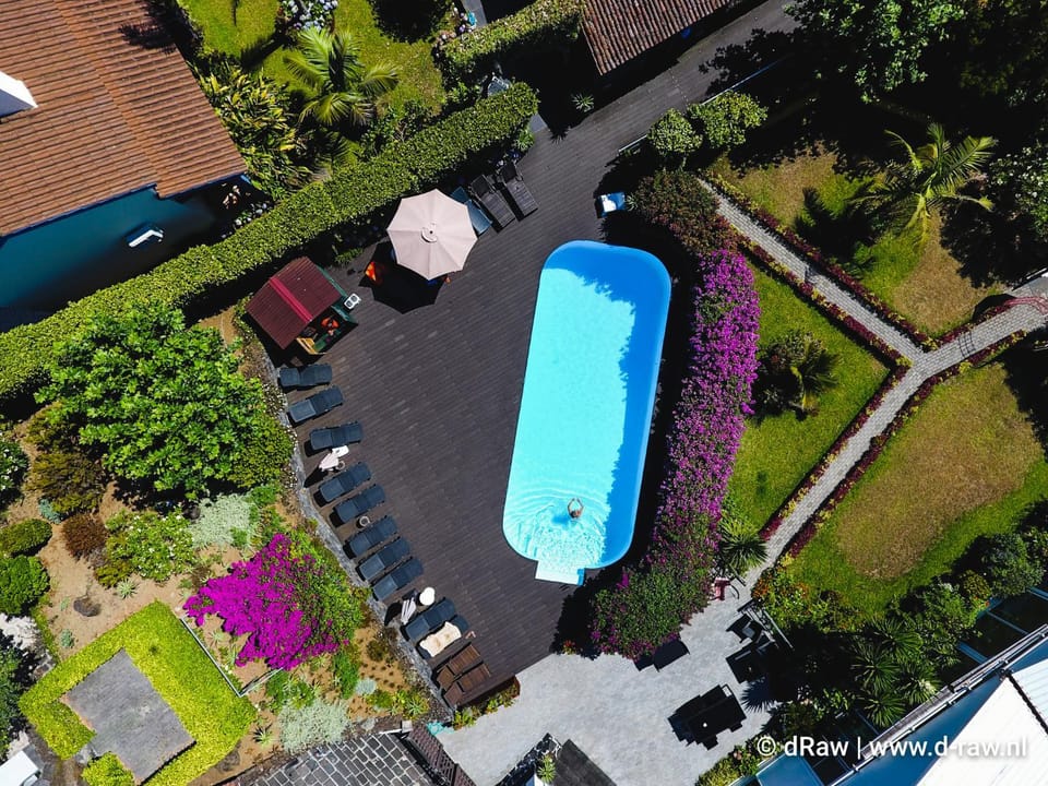 Garden, Swimming pool