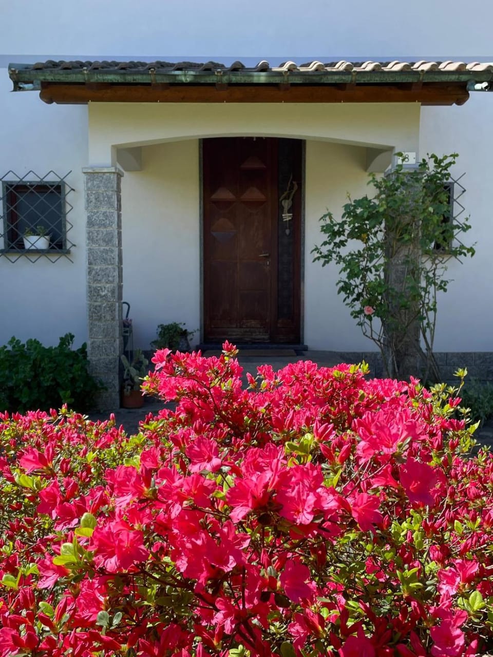 Property building, Spring, Garden view