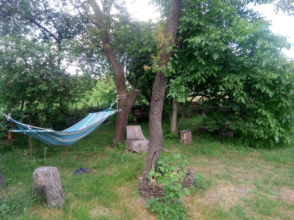 Garden, Garden view