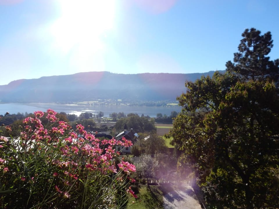 Natural landscape, Garden view, Lake view, Mountain view, Street view
