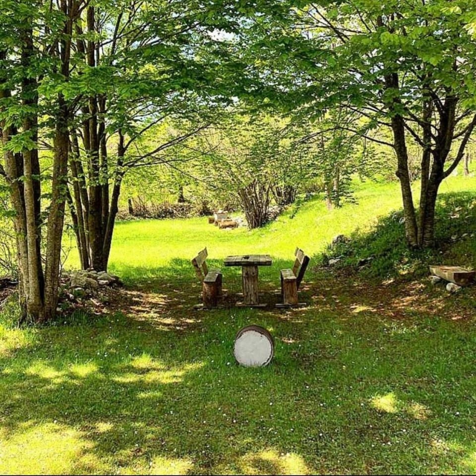 Spring, Natural landscape, Garden, Garden view, Parking