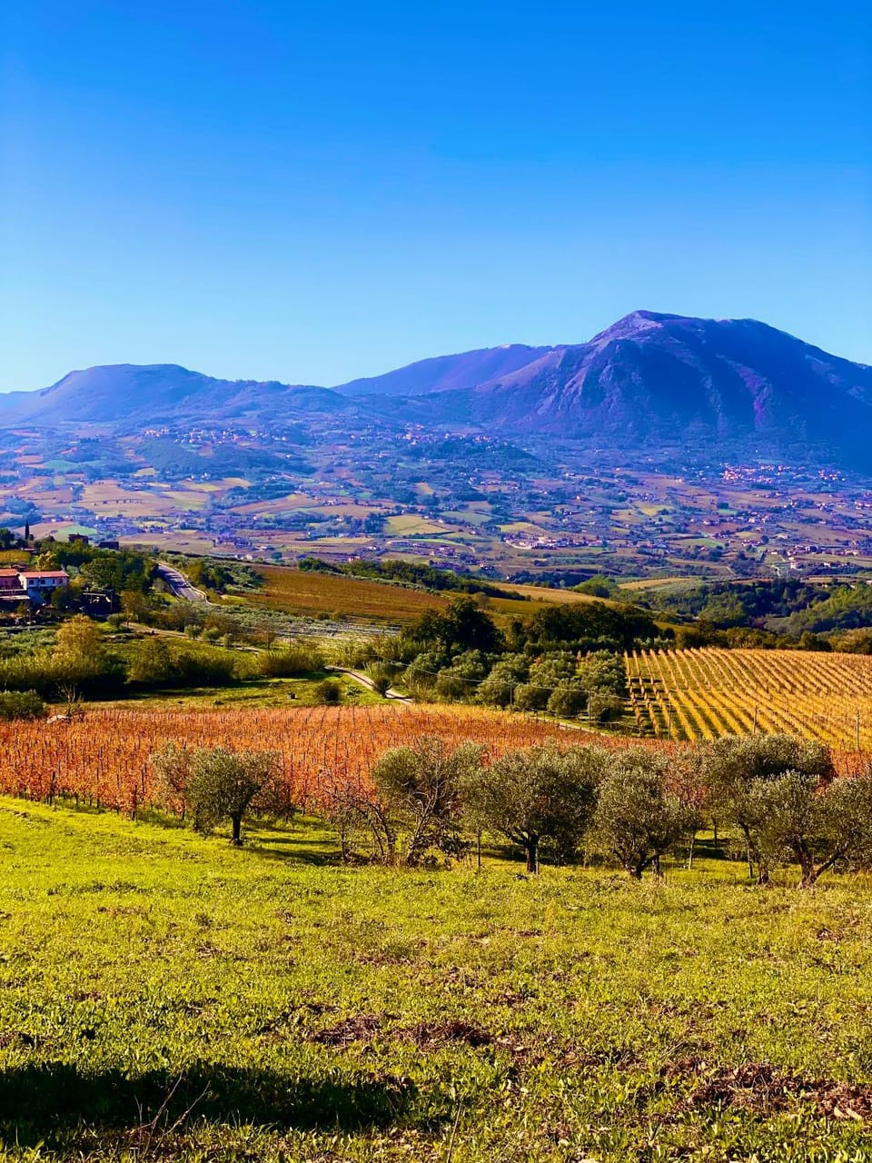 Masseria Frangiosa Farm Stay in Campania