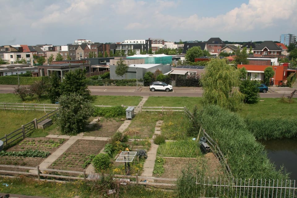 Neighbourhood, City view, Street view