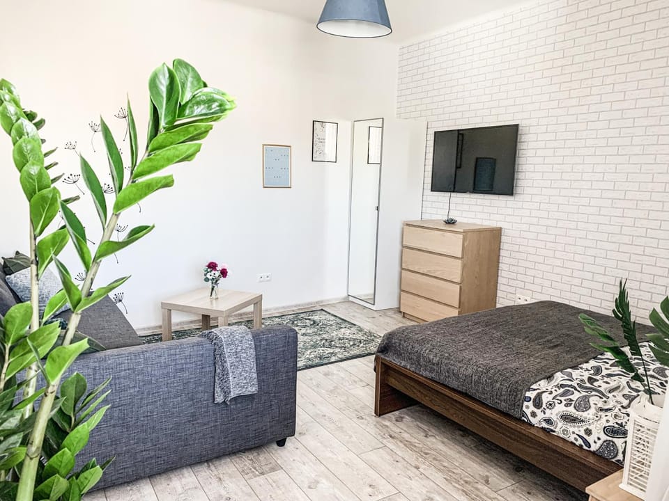 Bed, TV and multimedia