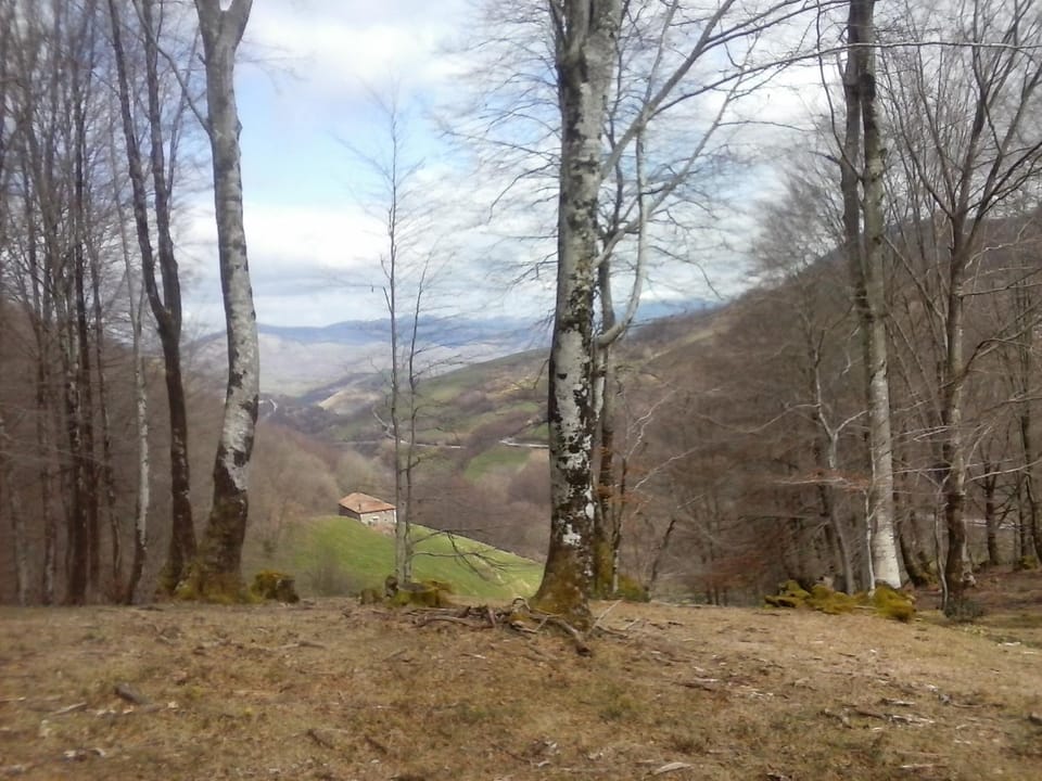Hiking
