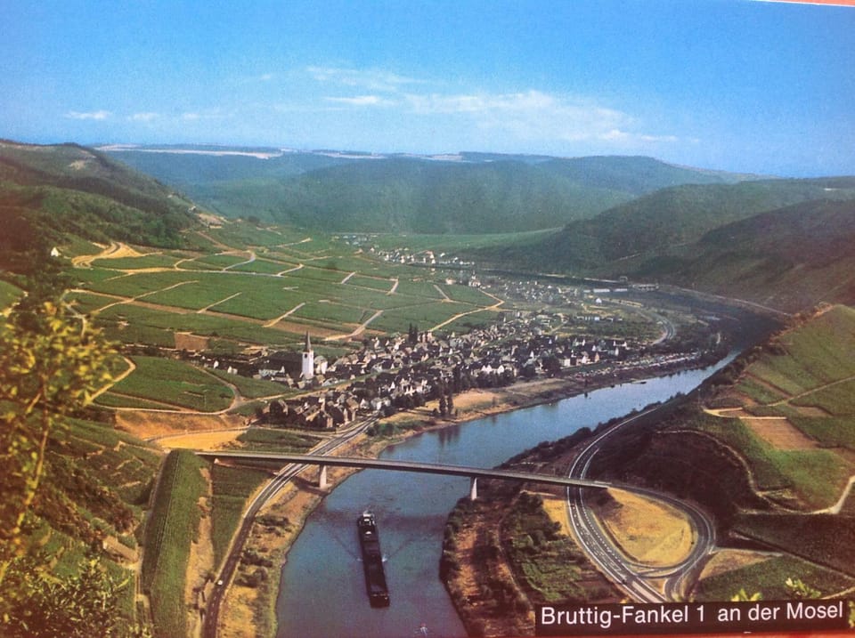 View (from property/room)