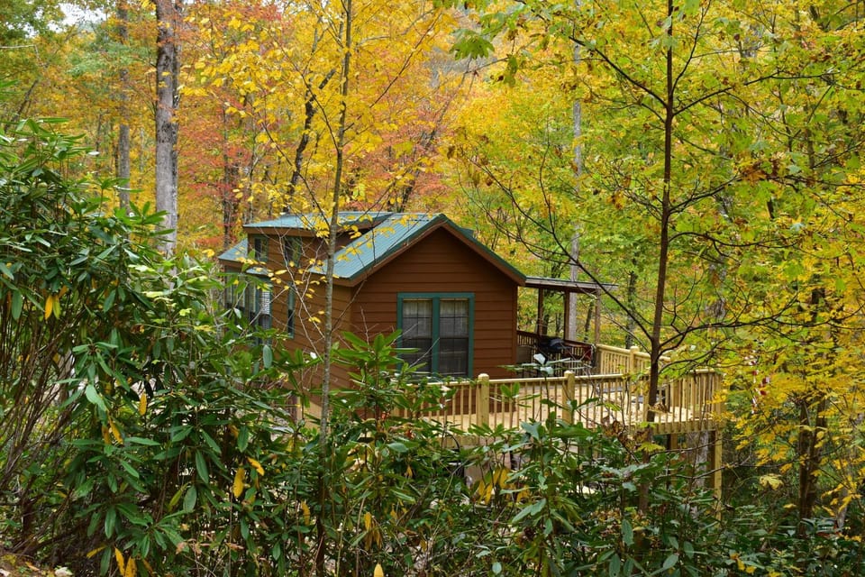 Property building, Autumn, Street view
