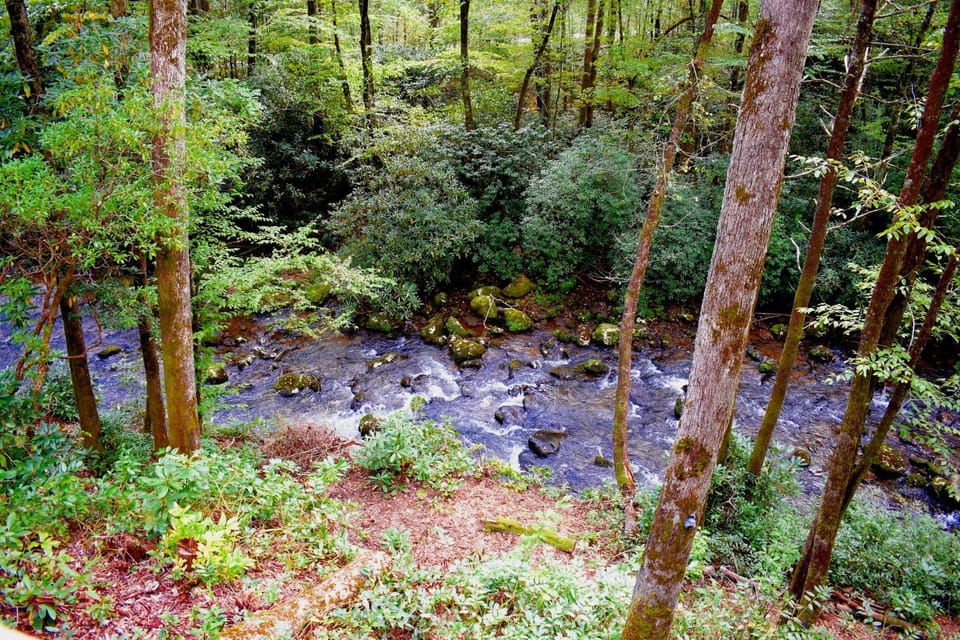 Natural landscape, Fishing, Balcony/Terrace, Hiking, On site, River view