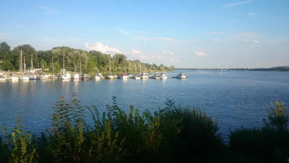 Natural landscape