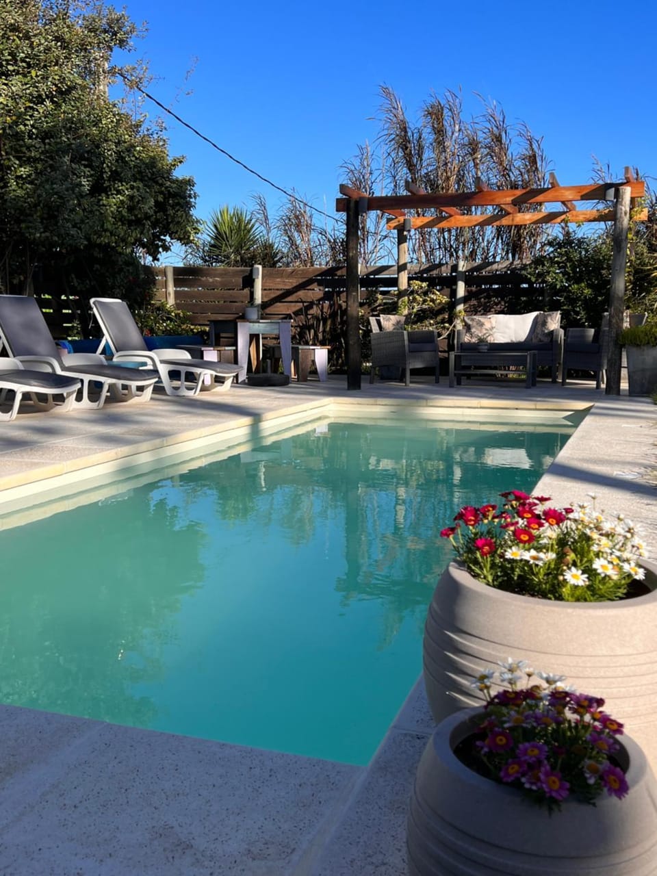 Day, Pool view, Swimming pool, sunbed