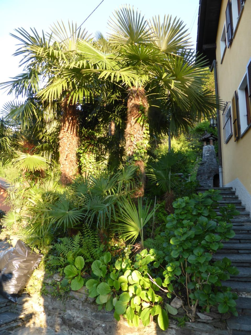 Casa Petra 1 1/2 Zi, Orgnana 83 Apartment in Locarno