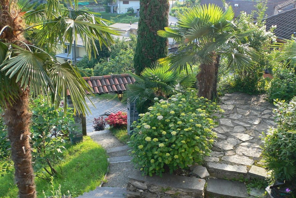 Casa Petra 1 1/2 Zi, Orgnana 83 Apartment in Locarno