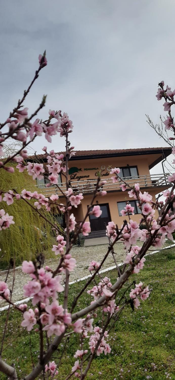 Laguna Verde Nature lodge in Romania