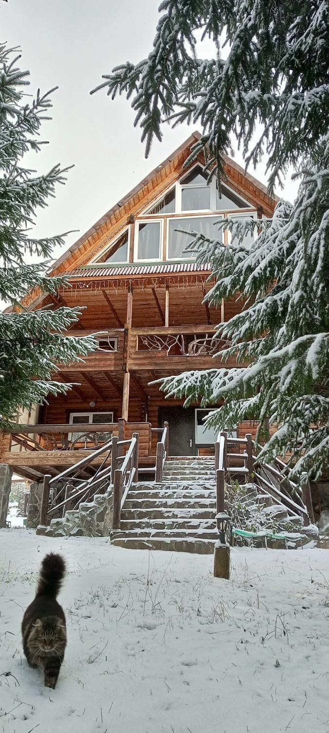 Property building, Winter