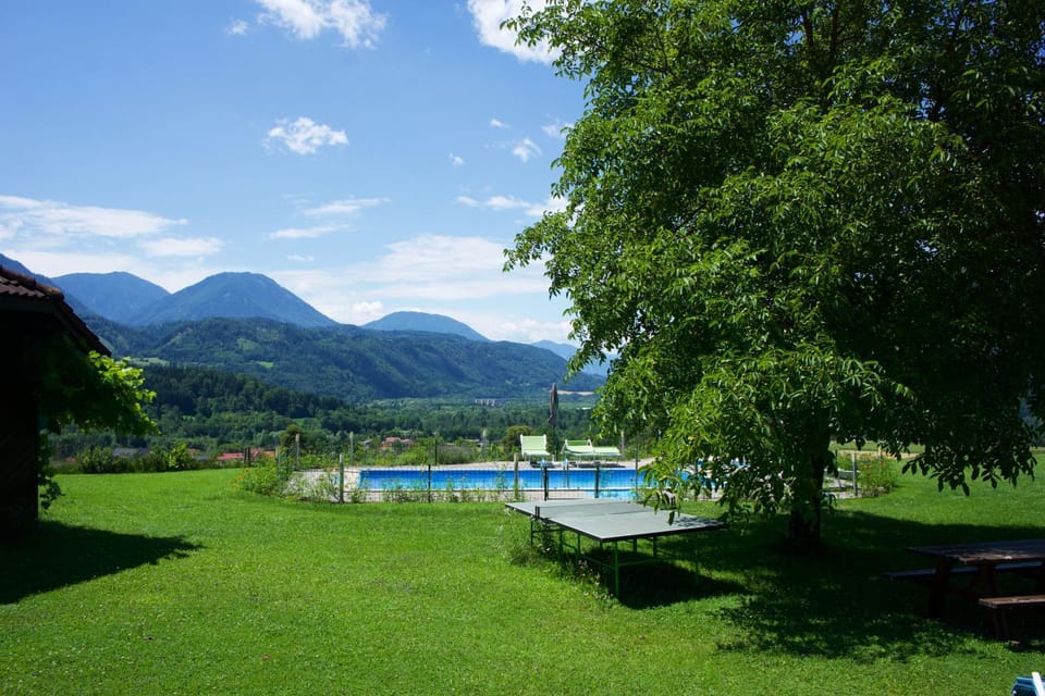 Patio, BBQ facilities, Garden, Hot Tub, View (from property/room), Balcony/Terrace, Garden view, Mountain view, Pool view, River view, Area and facilities, Swimming pool, Open Air Bath