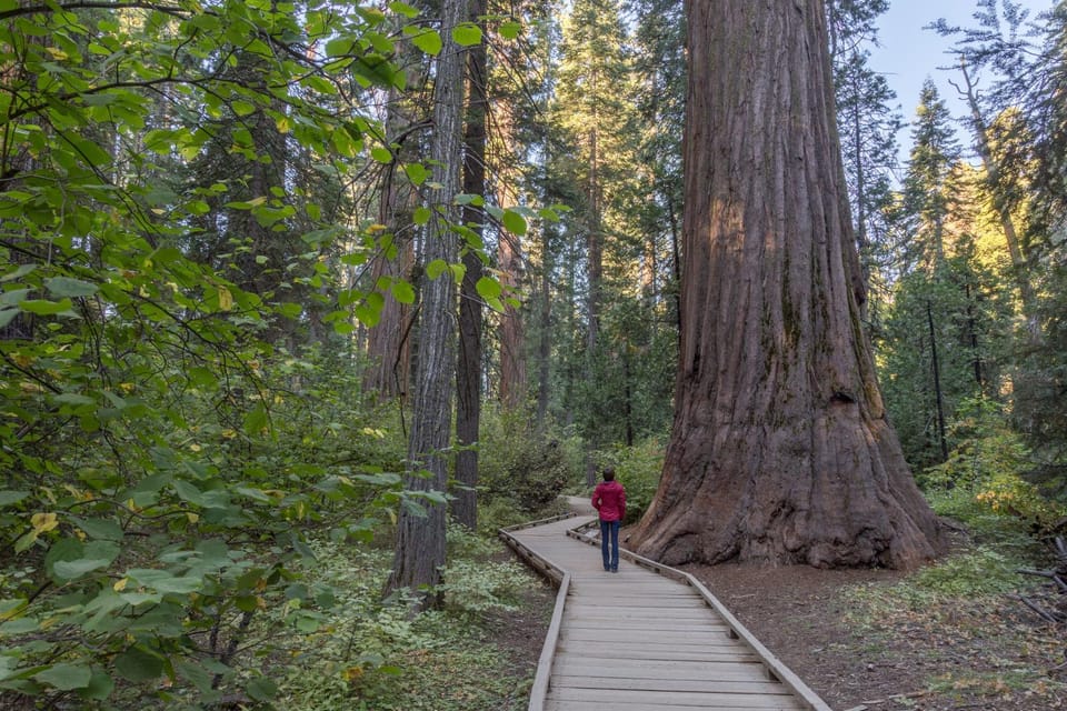 On The 9th House in Arnold