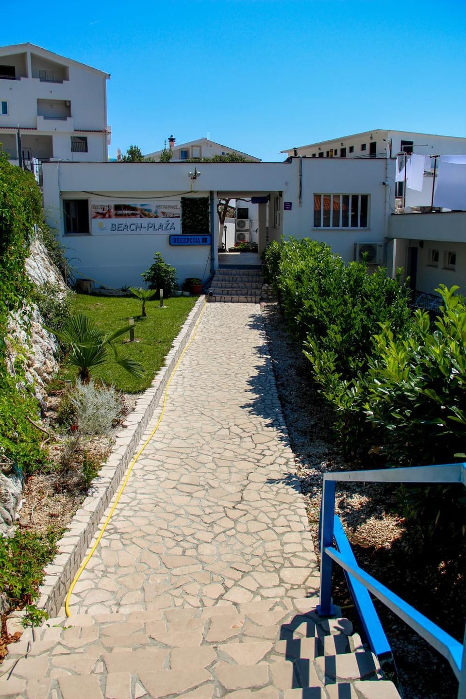 Garden view