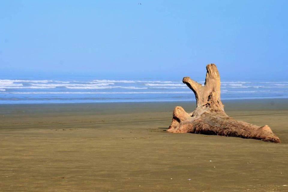 Crab Cottage House in Moclips