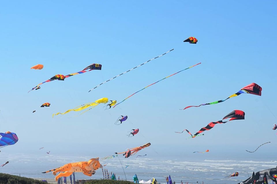 Driftwood Cottage House in Moclips