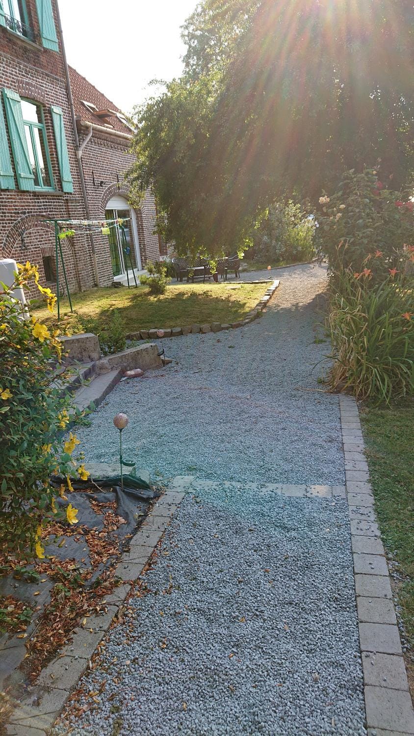 Garden