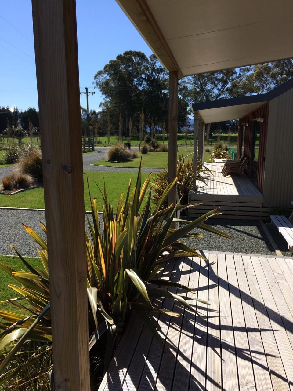 Acheron Cottages House in Southland