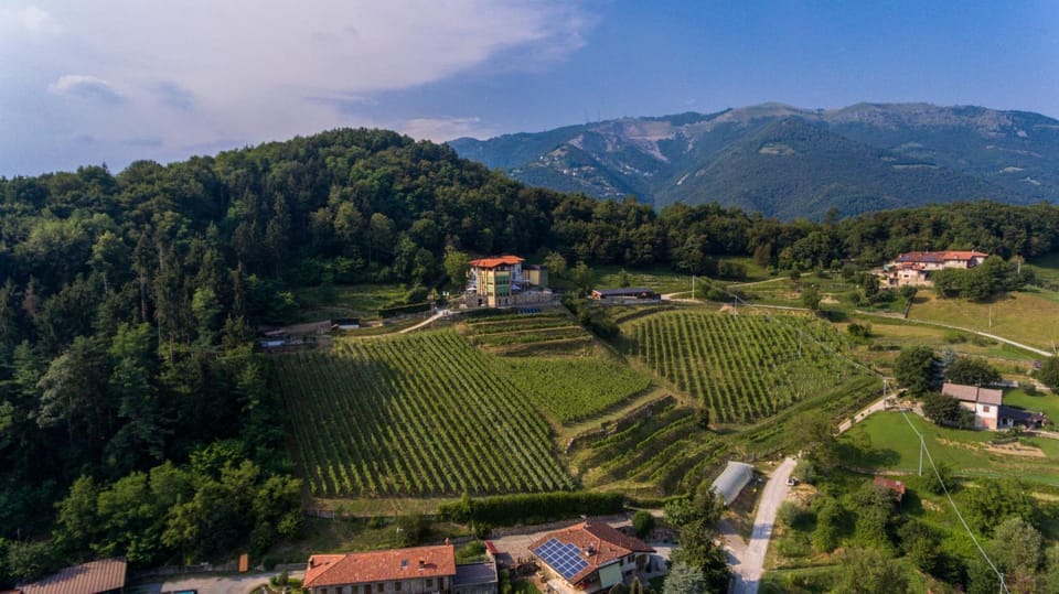 Natural landscape, Bird's eye view
