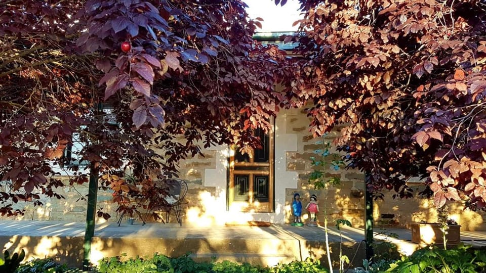 D2 at Watervale House in Watervale