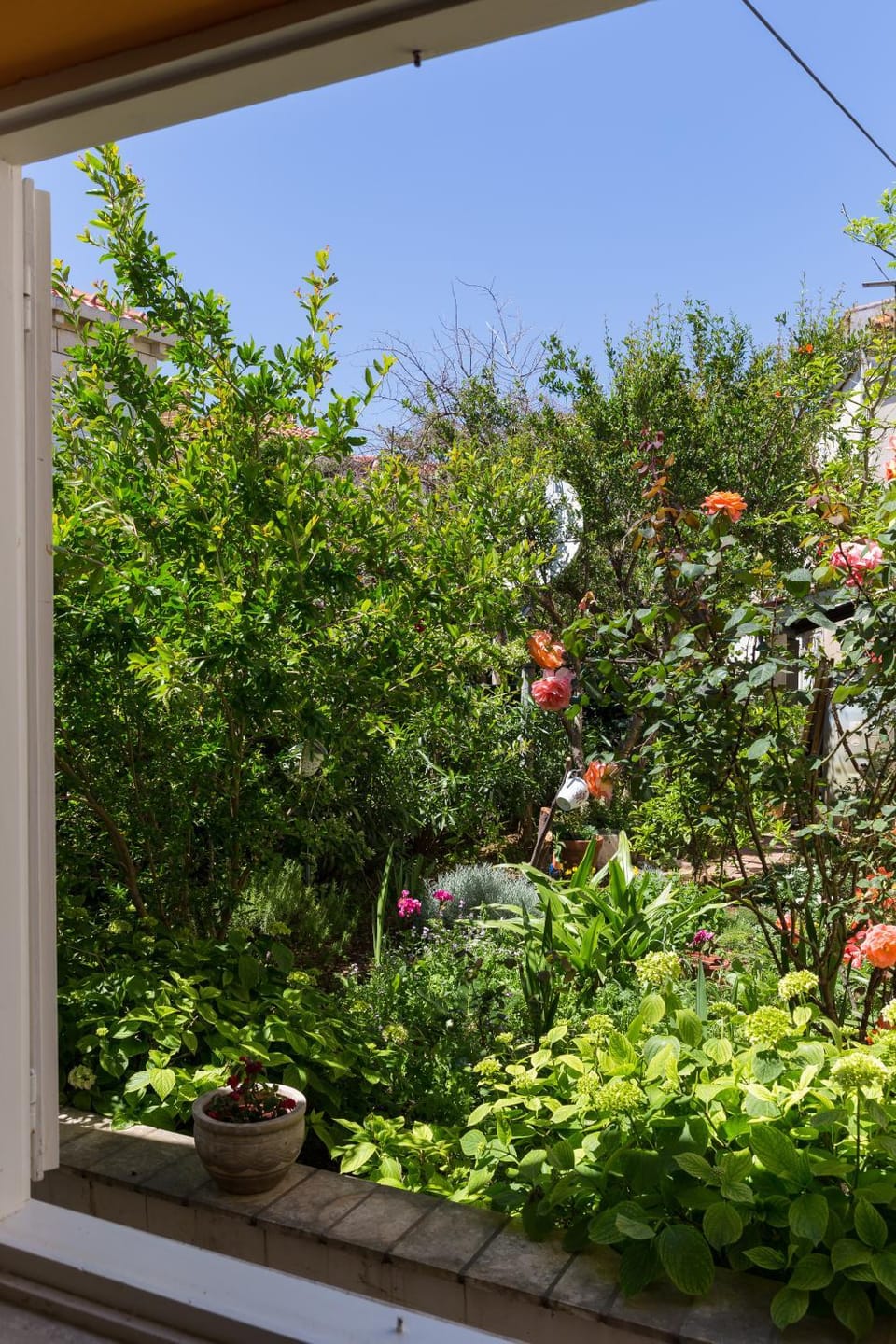 Garden, Photo of the whole room, Garden view