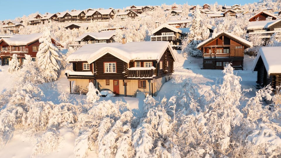 Winter
