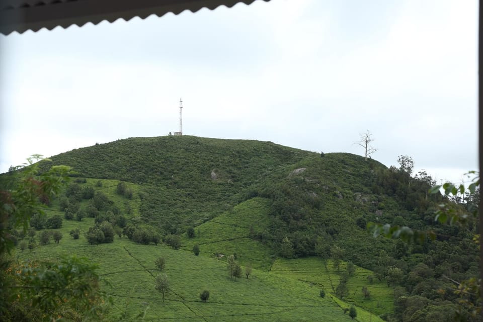 The Tamarillo Bed and Breakfast in Ooty
