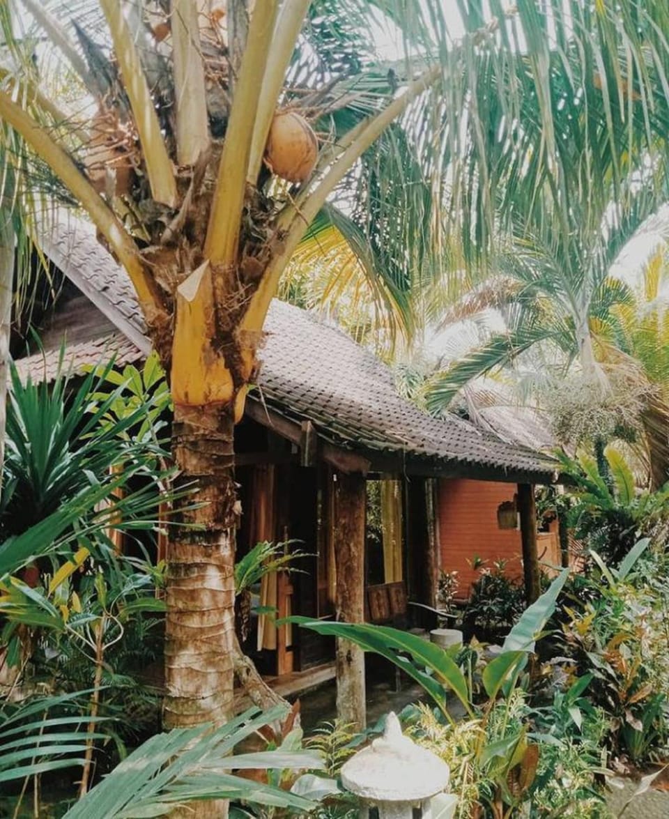 Property building, Garden