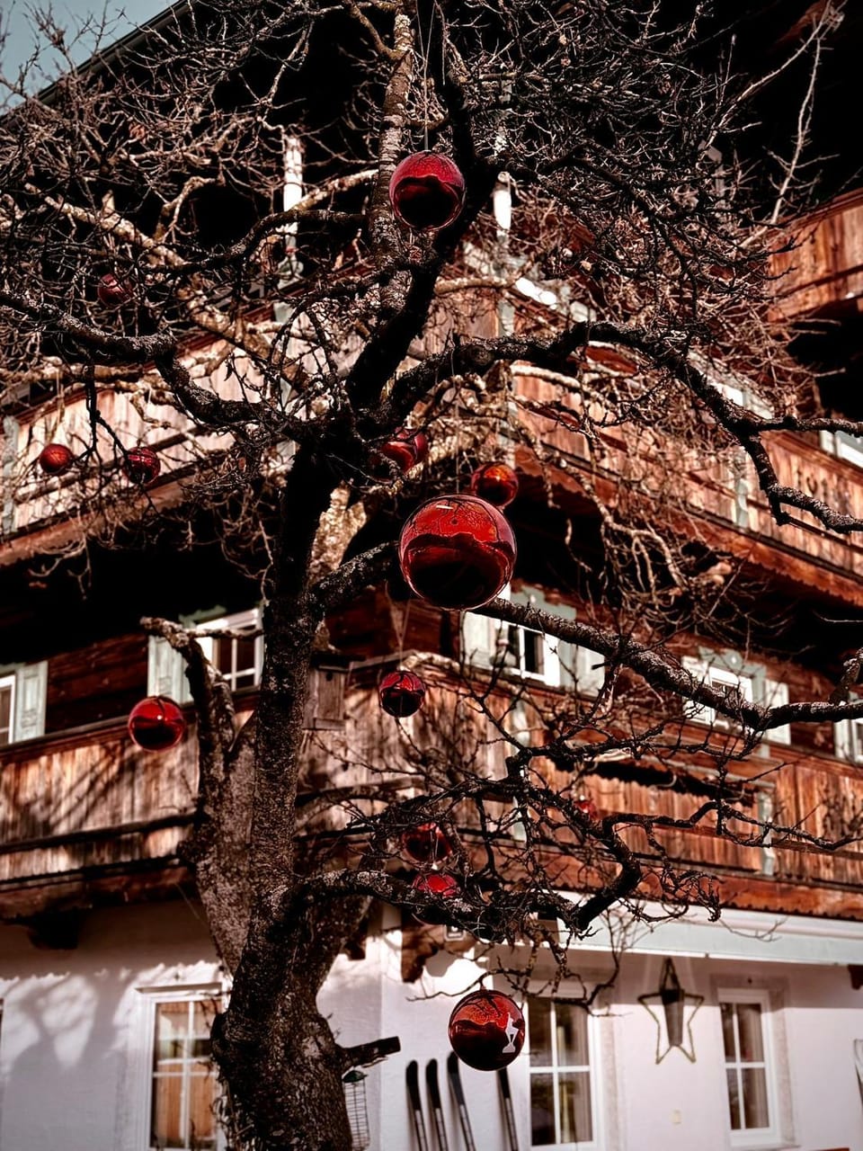 Angererhof Apartment in Salzburgerland