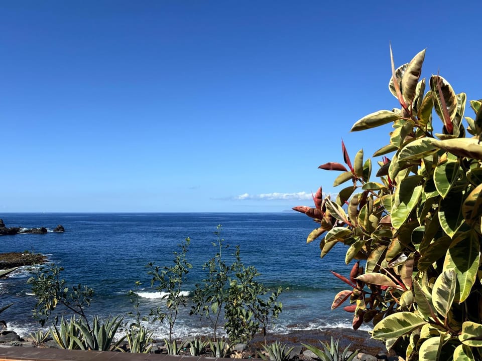 Exclusive frontline one bedroom apartment Apartment in Canary Islands