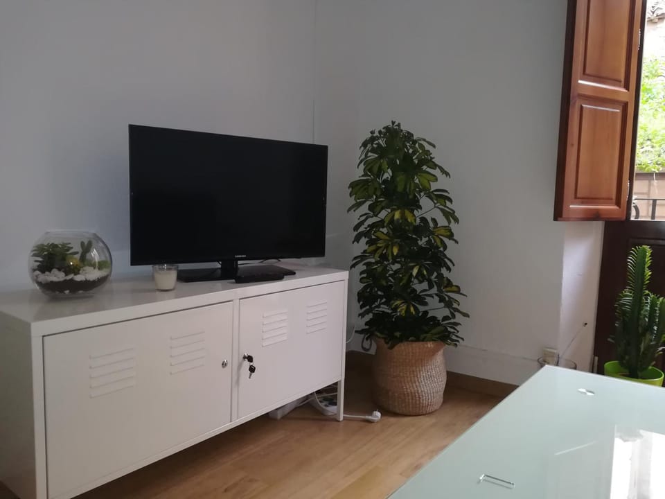 Nice apartment in the center of Granada Apartment in Granada
