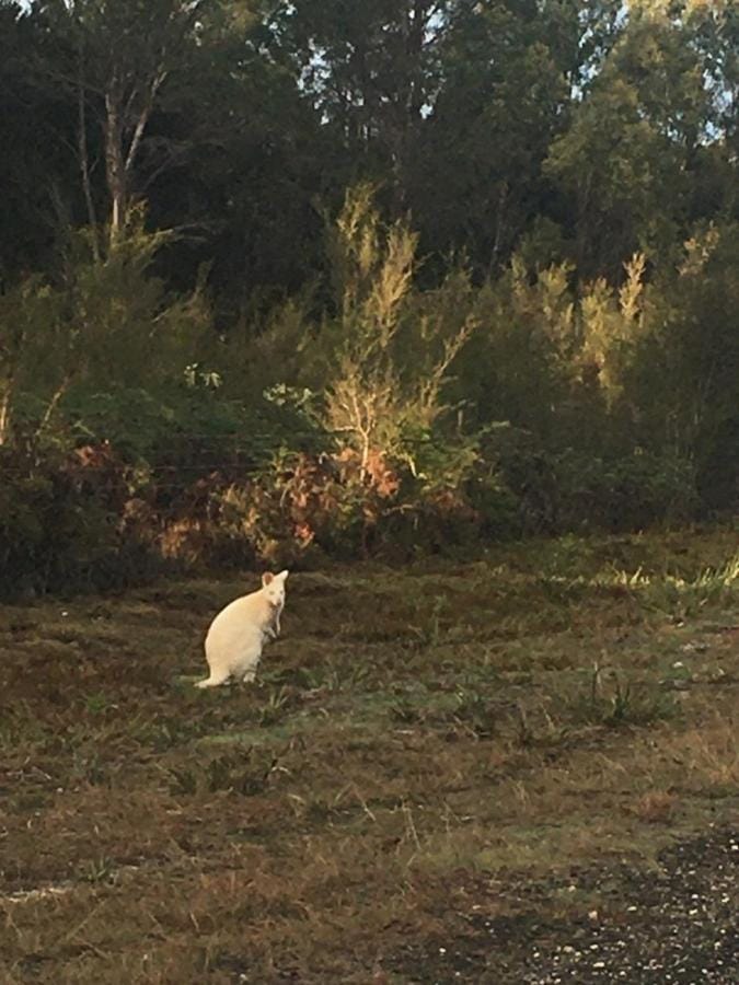 BIG4 Kelso Sands Holiday & Native Wildlife Park Campground/ 
RV Resort in Tasmania