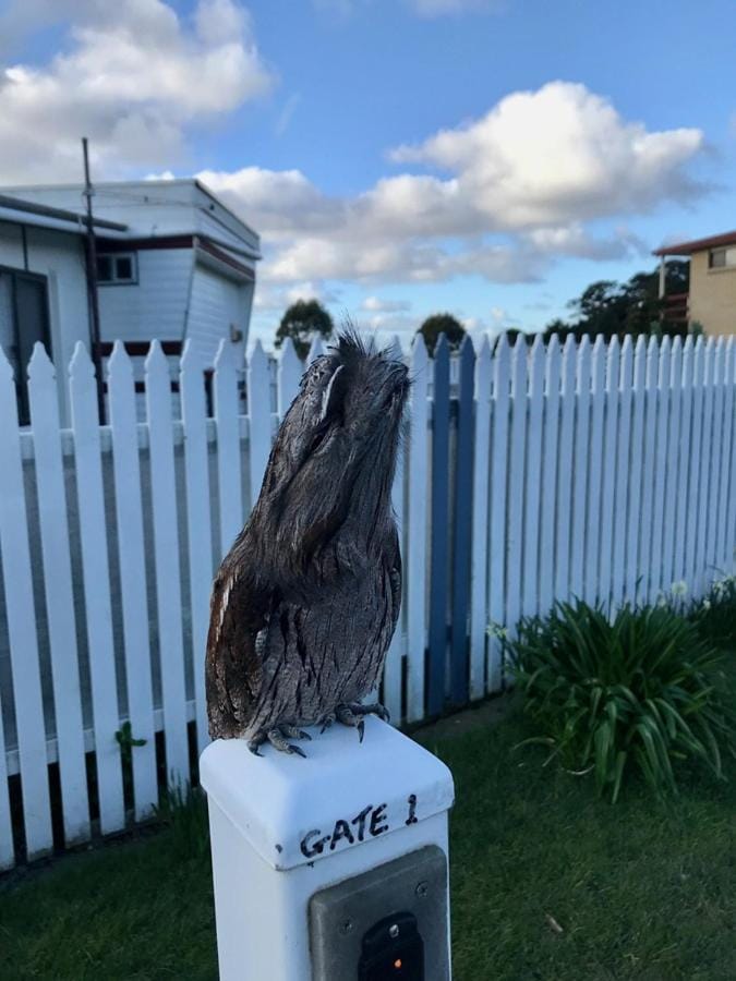 BIG4 Kelso Sands Holiday & Native Wildlife Park Campground/ 
RV Resort in Tasmania