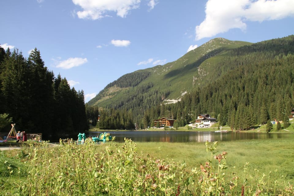 Property building, Natural landscape, Other, Area and facilities