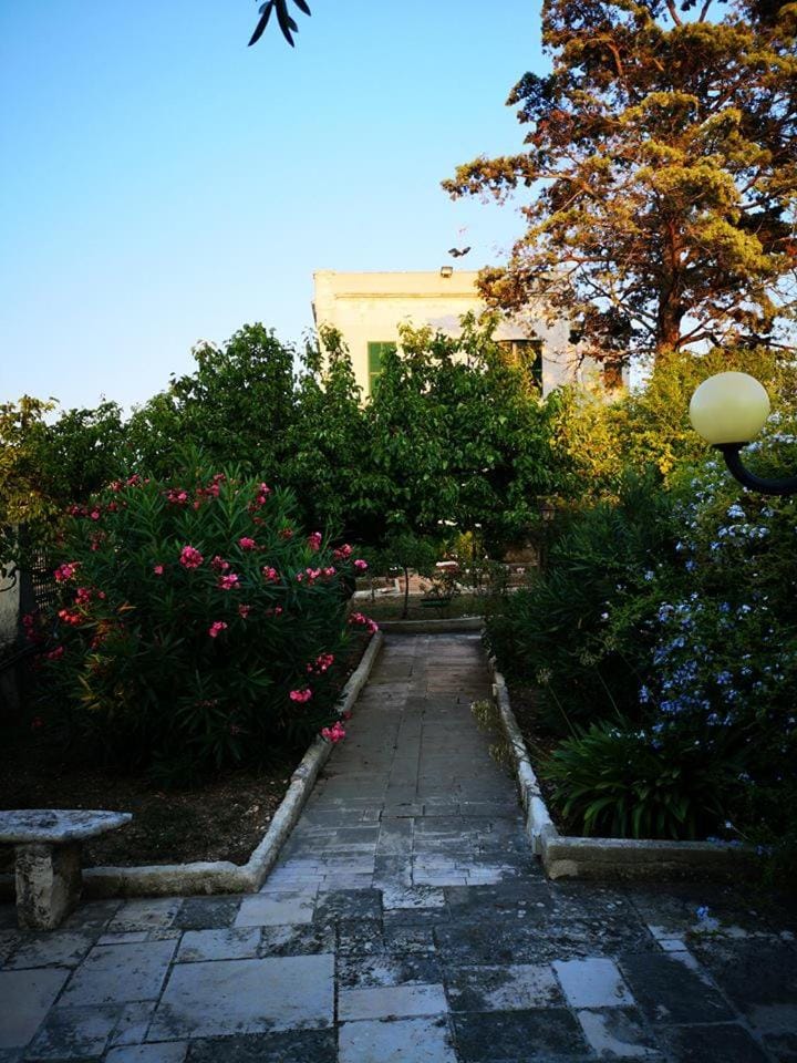 Property building, Garden